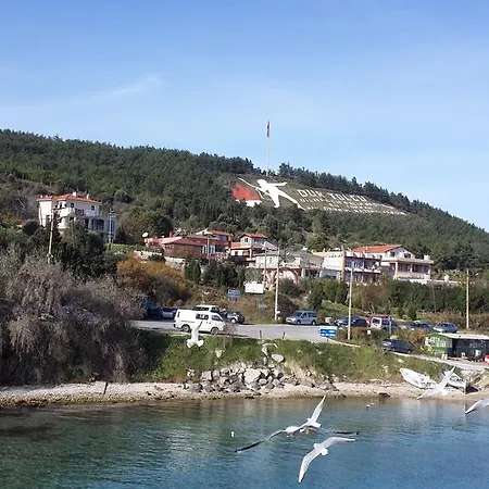 Dardanelles1915 Проживание в семье *