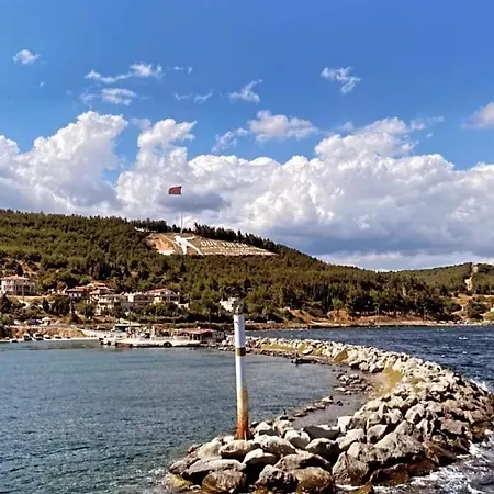 Dardanelles1915